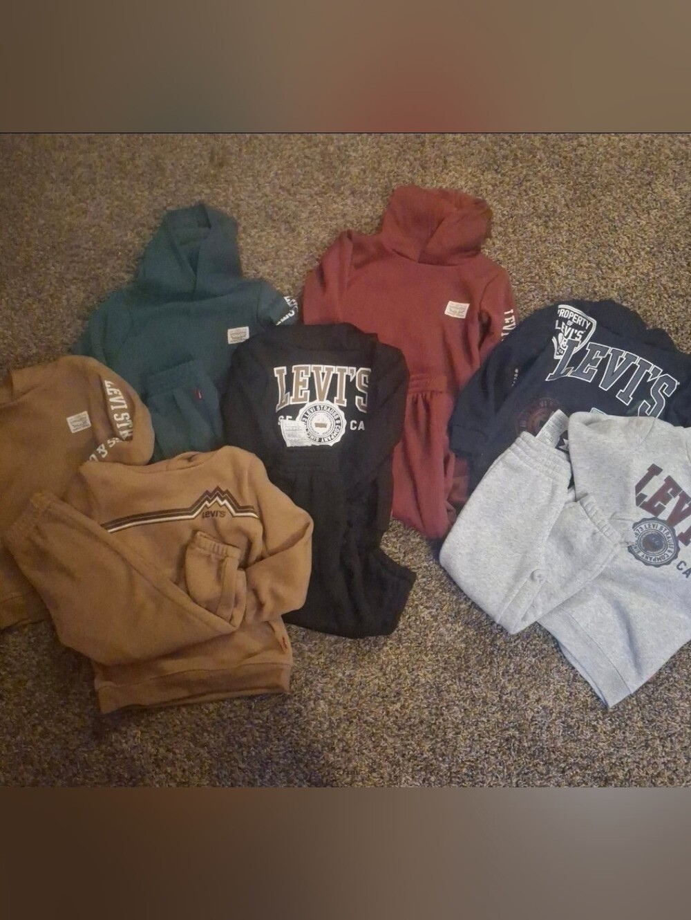Levi Bundle